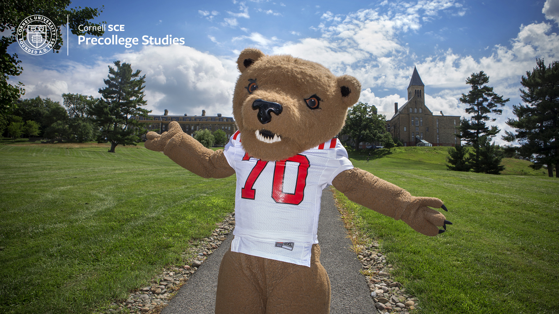 Touchdown, The Big Red Bear