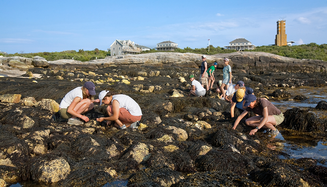 marine science research projects high school