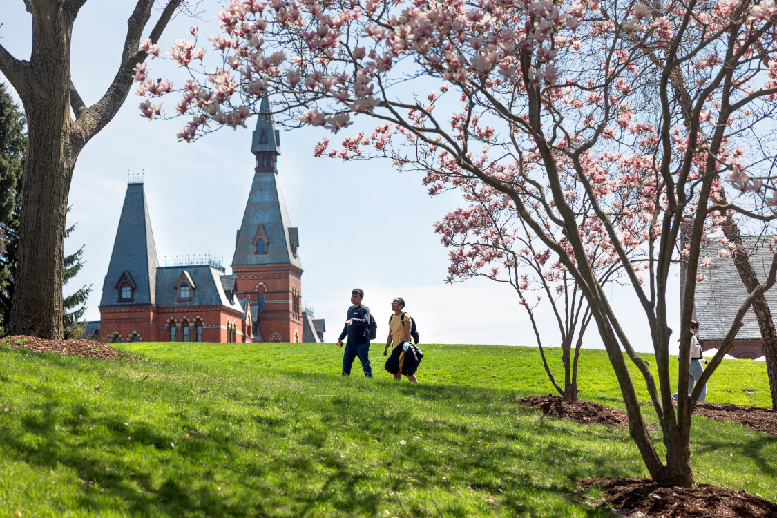 Alternative text can be provided for meaningful images, or left empty for purely decorative images.